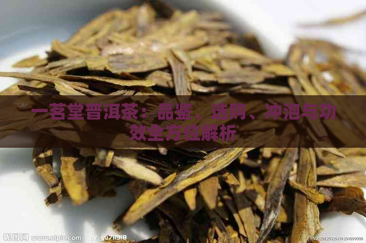 一茗堂普洱茶：品鉴、选购、冲泡与功效全方位解析