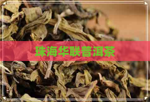 珠海华联普洱茶