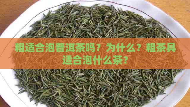 粗适合泡普洱茶吗？为什么？粗茶具适合泡什么茶？