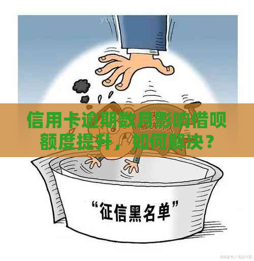 信用卡逾期数月影响借呗额度提升，如何解决？