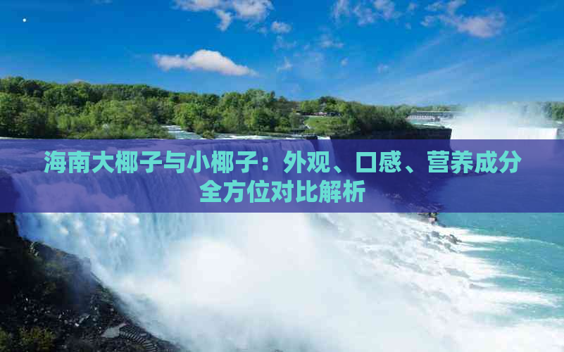 海南大椰子与小椰子：外观、口感、营养成分全方位对比解析