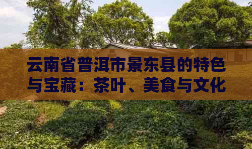 云南省普洱市景东县的特色与宝藏：茶叶、美食与文化的完美融合