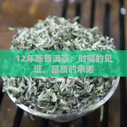 12年陈普洱茶：时间的见证，品质的承诺