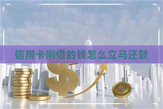 信用卡刚借的钱怎么立马还款