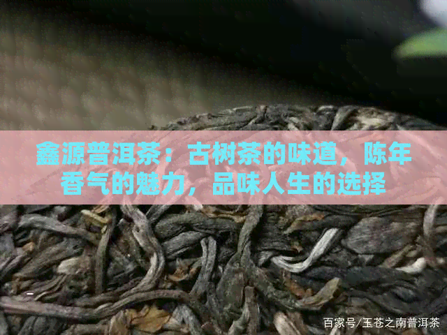 鑫源普洱茶：古树茶的味道，陈年香气的魅力，品味人生的选择