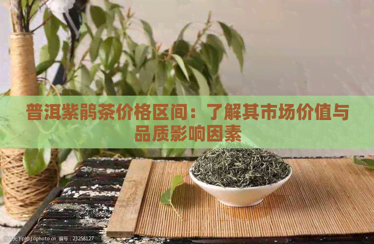 普洱紫鹃茶价格区间：了解其市场价值与品质影响因素