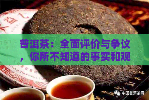 普洱茶：全面评价与争议，你所不知道的事实和观点