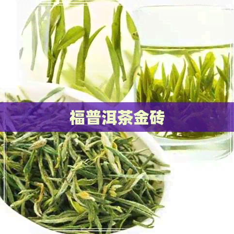 福普洱茶金砖