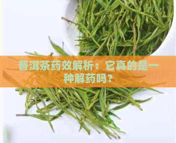 普洱茶药效解析：它真的是一种解药吗？