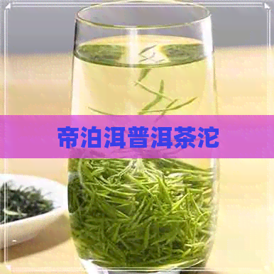 帝泊洱普洱茶沱