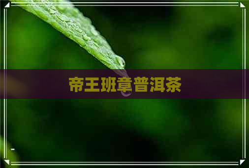 帝王班章普洱茶