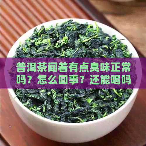 普洱茶闻着有点臭味正常吗？怎么回事？还能喝吗？