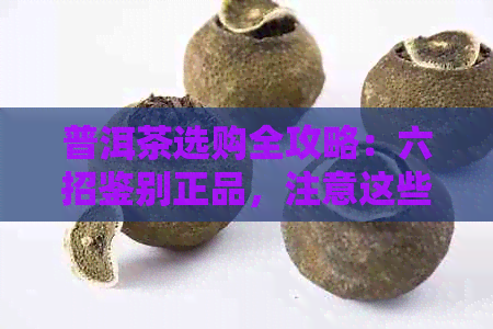 普洱茶选购全攻略：六招鉴别正品，注意这些细节！