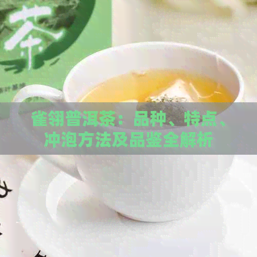 雀翎普洱茶：品种、特点、冲泡方法及品鉴全解析