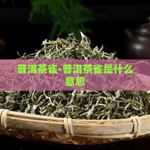 普洱茶雀-普洱茶雀是什么意思