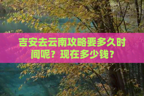 吉安去云南攻略要多久时间呢？现在多少钱？