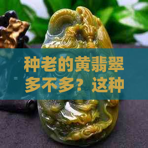 种老的黄翡翠多不多？这种老的翡翠有什么好处？会变种吗？