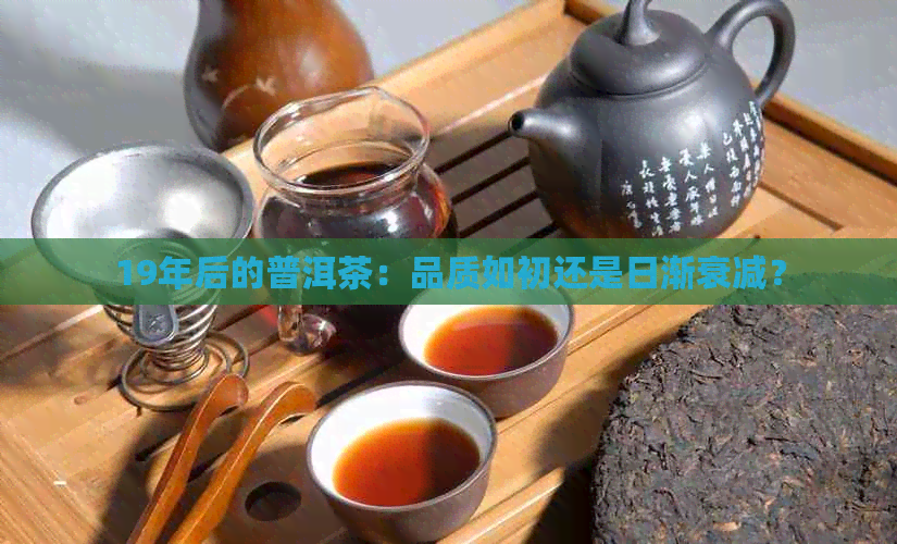 19年后的普洱茶：品质如初还是日渐衰减？