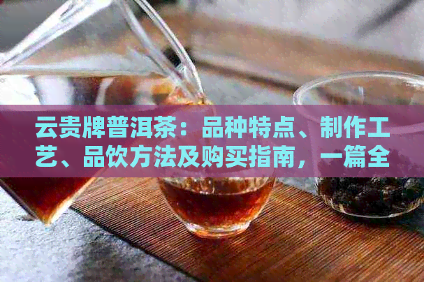 云贵牌普洱茶：品种特点、制作工艺、品饮方法及购买指南，一篇全面解答！