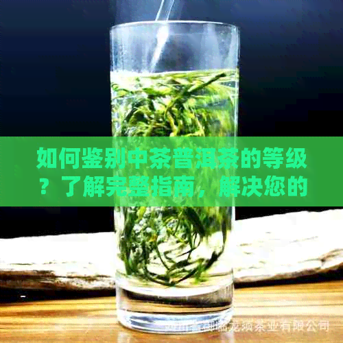 如何鉴别中茶普洱茶的等级？了解完整指南，解决您的所有疑问！