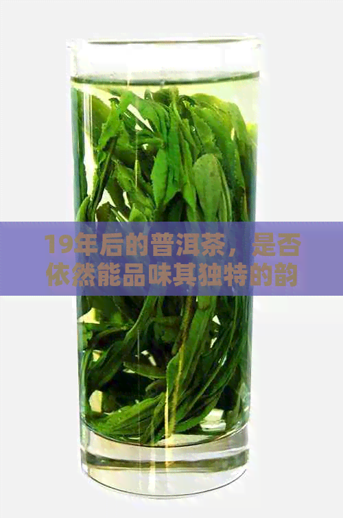 19年后的普洱茶，是否依然能品味其独特的韵味？