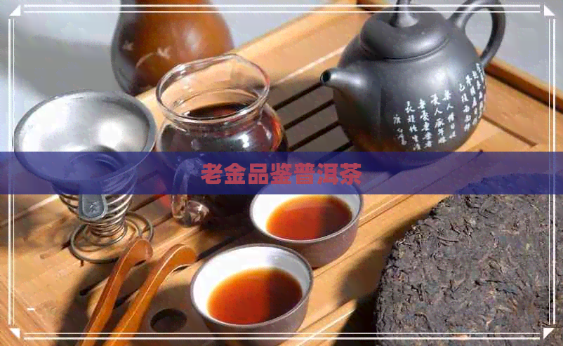 老金品鉴普洱茶