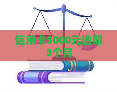 信用卡5000元逾期3个月