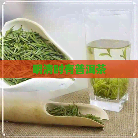 明清时有普洱茶