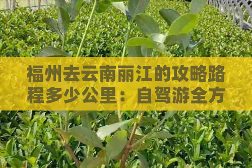 福州去云南丽江的攻略路程多少公里：自驾游全方位指南