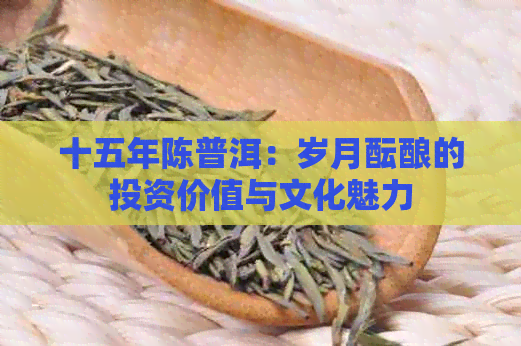 十五年陈普洱：岁月酝酿的投资价值与文化魅力