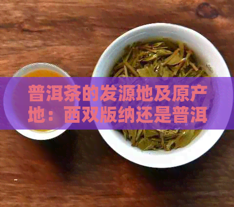 普洱茶的发源地及原产地：西双版纳还是普洱？发源时间是什么时候？