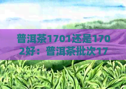 普洱茶1701还是1702好：普洱茶批次1701和1801的意思及相关区别