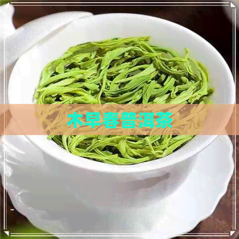 木早春普洱茶