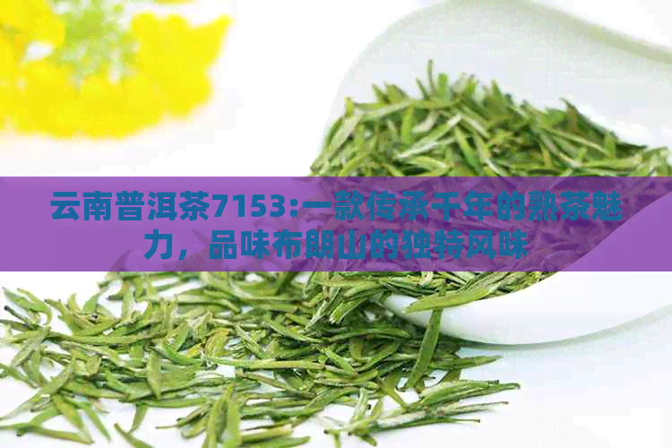 云南普洱茶7153:一款传承千年的熟茶魅力，品味布朗山的独特风味