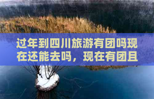 过年到四川旅游有团吗现在还能去吗，现在有团且过年期间旅游体验如何