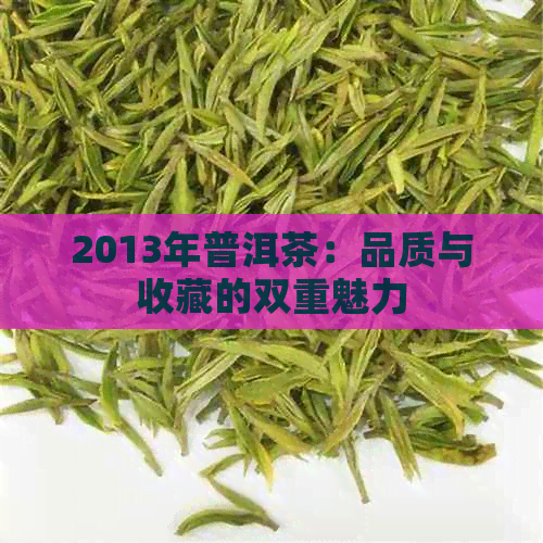 2013年普洱茶：品质与收藏的双重魅力