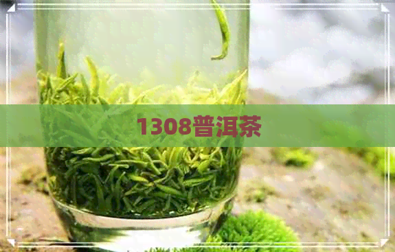 1308普洱茶