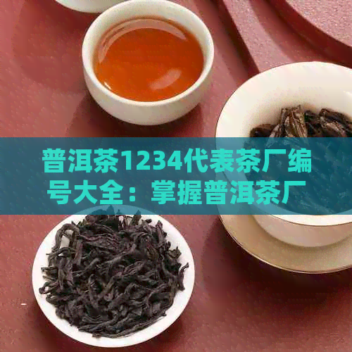 普洱茶1234代表茶厂编号大全：掌握普洱茶厂对应关系