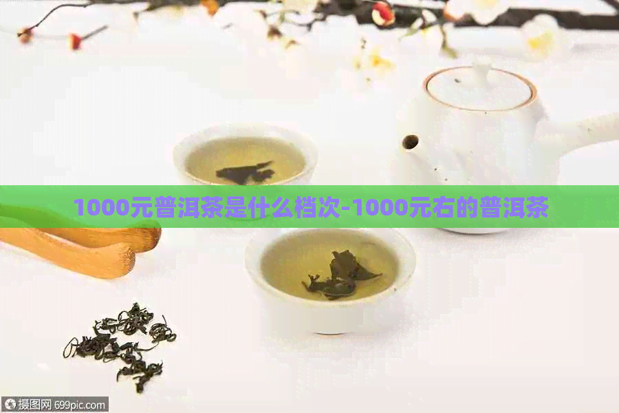 1000元普洱茶是什么档次-1000元右的普洱茶