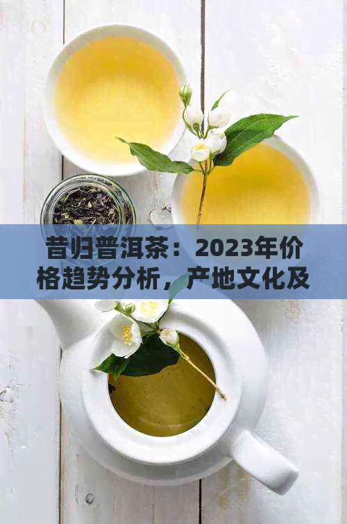 昔归普洱茶：2023年价格趋势分析，产地文化及品质详解