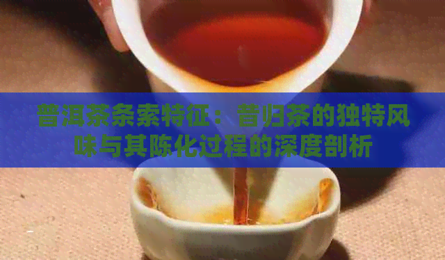 普洱茶条索特征：昔归茶的独特风味与其陈化过程的深度剖析