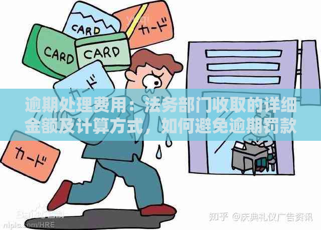 逾期处理费用：法务部门收取的详细金额及计算方式，如何避免逾期罚款？