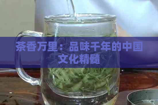 茶香万里：品味千年的中国文化精髓