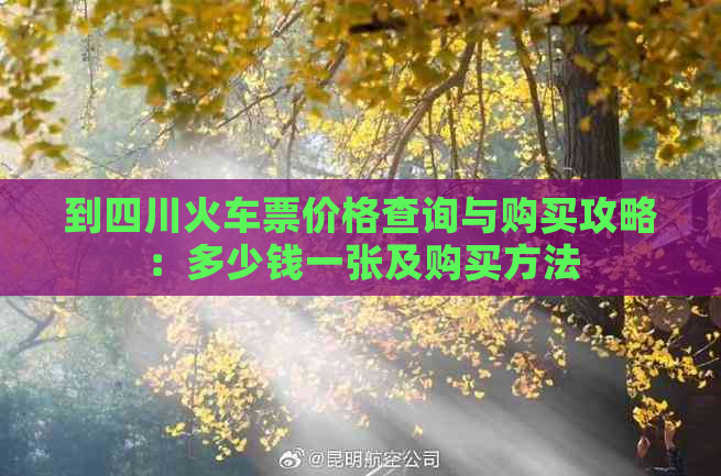 到四川火车票价格查询与购买攻略：多少钱一张及购买方法