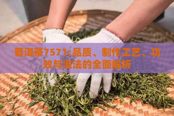 普洱茶7571:品质、制作工艺、功效与泡法的全面解析