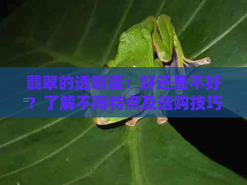 翡翠的透明度：好还是不好？了解不同特点及选购技巧