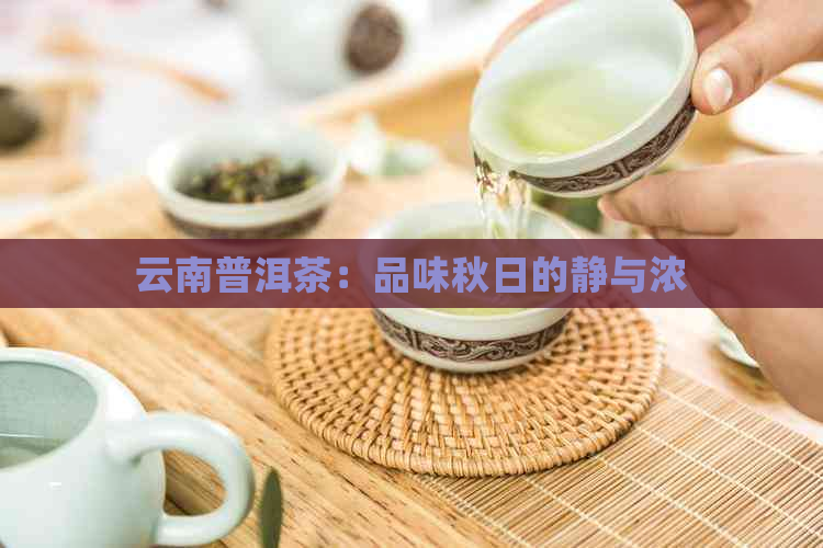 云南普洱茶：品味秋日的静与浓