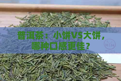 普洱茶：小饼VS大饼，哪种口感更佳？