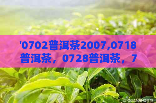 '0702普洱茶2007,0718普洱茶，0728普洱茶，7262普洱茶价格'