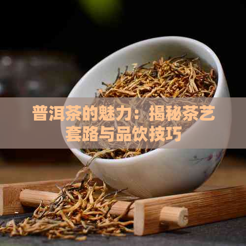 普洱茶的魅力：揭秘茶艺套路与品饮技巧